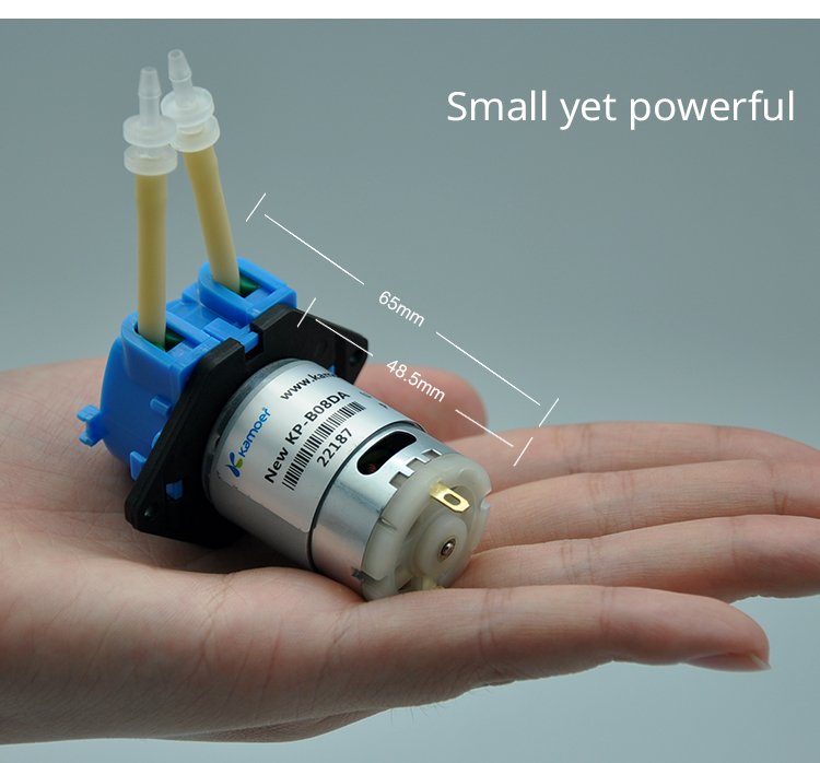 Dc Motor 12V - Nouvelle pompe doseuse péristaltique mini NKP