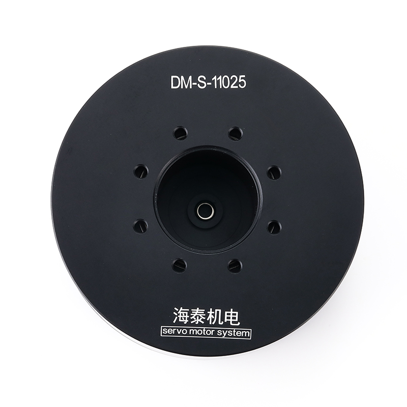 DM-S-11025 petit servomoteur e - Servo Pan Tilt avis et prix