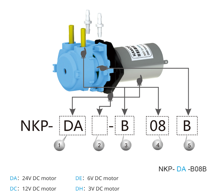 Nouvelle pompe doseuse pérista - Dc Motor 12V avis et prix